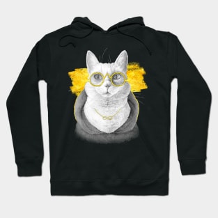 The charcoal cat (Asphait version) Hoodie